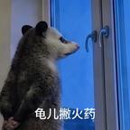 高岛卓美优头像