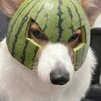 宁希头像