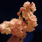 潤绍头像