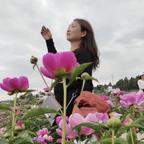 凌风🌹之羽🪶头像