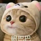 赛文婷头像