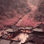 肖若瑜头像