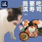 螺旋闪光头像