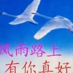 幸运人3469799头像
