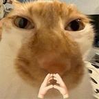 zr头像