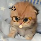 。头像