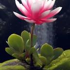 墨色流年～寸草无言头像