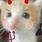 明日头像