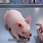 手速惊人猛击渣男的腚头像