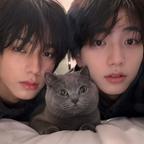 汪了杰喵之丞头像