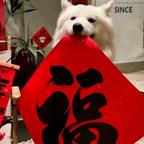 总对他好头像