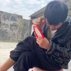 29095486725头像