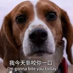 超辣火鸡味儿锅巴头像