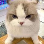 无名小卒头像