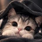 柔  软的猫头像
