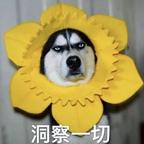 落秋101头像