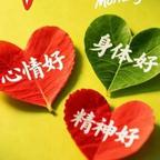 宫斗达人付总头像