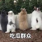 一口一个小盆友头像