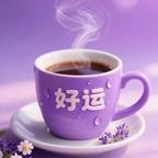 夏末流璃头像