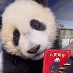 洞洞萝头像