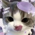 紫星星呀头像