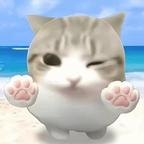 杳杳头像