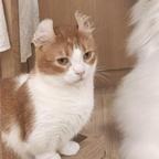 用户名888头像