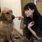 z头像