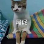 ᕱ⑅ᕱ头像