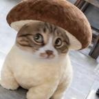 ^鱼仔^头像