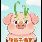 🐽猪鼻子插葱葱头像