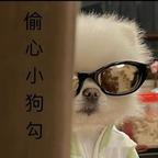  头像