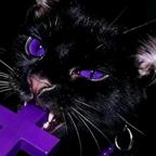 邪恶猫猫头像
