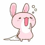 菲gjj.头像