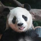 手机用户7820_头像
