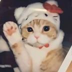 小7._🧚头像