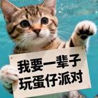 朱佑晨头像