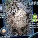冷艳智慧的慕澜深头像