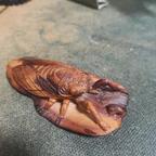 精英肥男头像