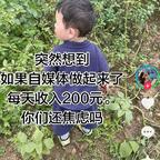 枕星而坐头像