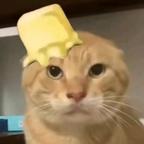 圆头耄耋头像