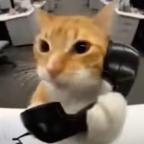 喜欢高壮4i男头像
