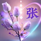 张云朵……头像