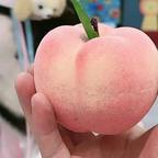 🍑🧊桃子，🤣(封心锁爱)版头像