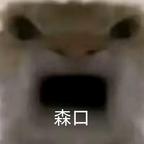 护头像
