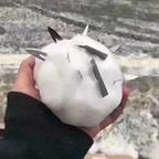 独爱男频爽剧🤪头像