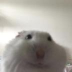No!头像