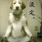 只看好看的头像