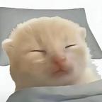 思迟迟头像