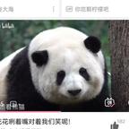 气受不得一点头像